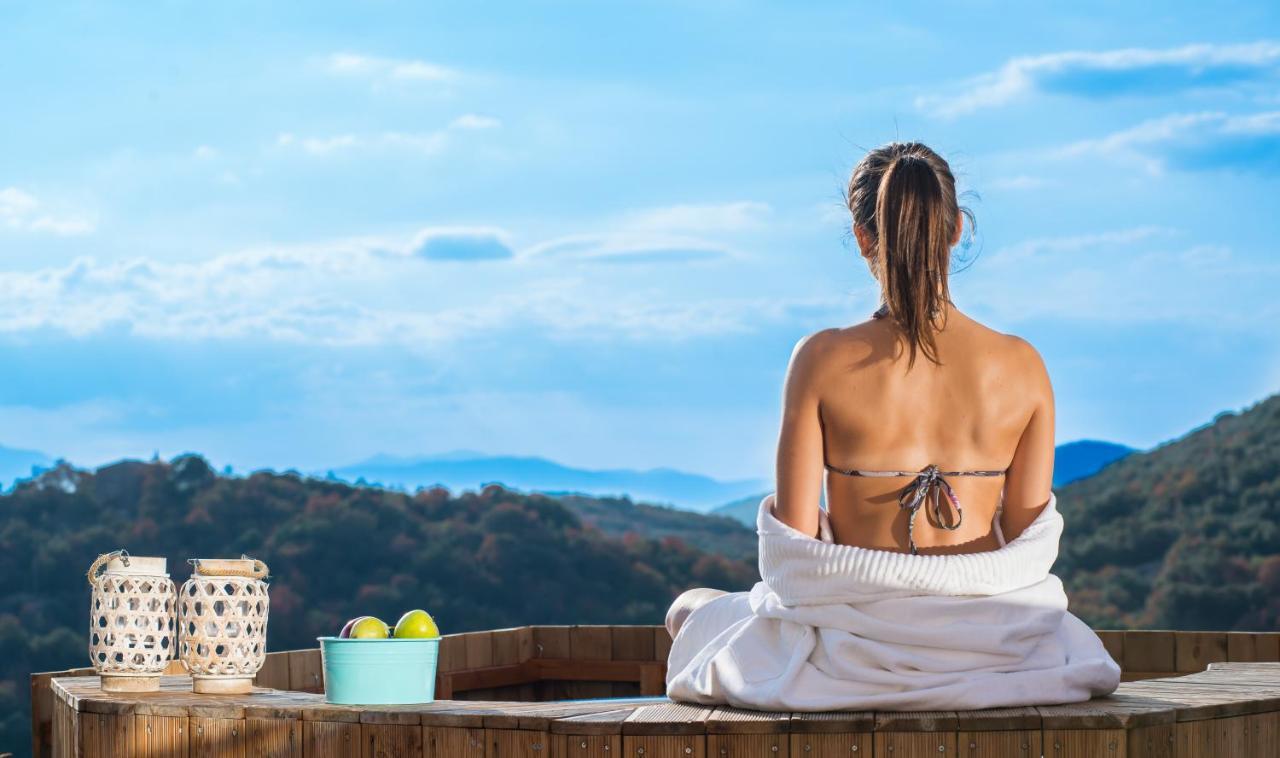 Pirrion Wellness Boutique Hotel Zagori Eksteriør billede